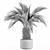 Tropical Delight: Palm Plant Set 3D model small image 6