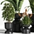 Sleek Indoor Plant Set 06 3D model small image 3