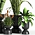 Sleek Indoor Plant Set 06 3D model small image 4
