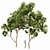 Sydney Blue Gum 2 Trees: High-Quality 3D Models 3D model small image 1