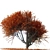 Autumn Vibes Maple Tree 3D model small image 2