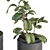 Potted Fiddle Leaf Fig Set 3D model small image 2