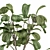 Potted Fiddle Leaf Fig Set 3D model small image 4