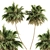 Lush Green Palm - Dual Size Set 3D model small image 1