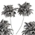 Lush Green Palm - Dual Size Set 3D model small image 5