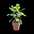 Ficus benghalensis 3D Model Set 3D model small image 2