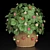 Indoor Strawberry Plant: Fresh, Tasty, and Convenient! 3D model small image 1