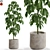 Botanical Bliss: 554 Plant Collection 3D model small image 1