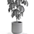 Botanical Bliss: 554 Plant Collection 3D model small image 4