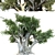 Ancient Olive Tree Model 3D model small image 1