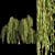 Willow Trees Collection: Vol12 3D model small image 2