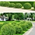 Versatile Buxus Bush: 4-Pack, Height: 0.9m 3D model small image 2