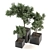 Green Oasis Outdoor Plant Set 3D model small image 3