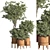 Green Oasis: Indoor Plant Set 44 3D model small image 1