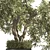 Breathe Life with Interior Bonsai 3D model small image 2