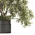 Breathe Life with Interior Bonsai 3D model small image 4