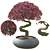 Bonsai 02: Millimeter Dimensions, High Poly, FBX & OBJ Formats 3D model small image 1