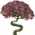 Bonsai 02: Millimeter Dimensions, High Poly, FBX & OBJ Formats 3D model small image 2