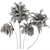 Lush Green Palm Tree Set 185 3D model small image 6