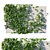 Vitis Coignetiae 02: Lifelike Grape Vine 3D Model 3D model small image 1