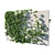 Vitis Coignetiae 02: Lifelike Grape Vine 3D Model 3D model small image 2