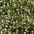 Lush Turf Blooms: Grass Set 05 3D model small image 3