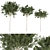 Premium Plant Collection - Volume 230 3D model small image 1