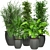 231 Plant Collection: Lightweight, High Quality 3D model small image 1