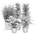 231 Plant Collection: Lightweight, High Quality 3D model small image 4