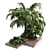 Outdoor Garden Pot Collection - Palm Tree, Bush, Fern, Grass in Concrete Vase 3D model small image 1