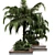 Outdoor Garden Pot Collection - Palm Tree, Bush, Fern, Grass in Concrete Vase 3D model small image 2