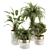 Green Oasis: Indoor Plant Set in Pot 3D model small image 1