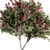 Crape Myrtle Outdoor Plant Set 3D model small image 3