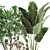 Tropical Plant Collection: Yucca, Palm, Ravenala & More 3D model small image 3