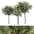Green Jacob Broadleaf Tree Set 41 3D model small image 1
