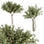 Green Jacob Broadleaf Tree Set 41 3D model small image 2