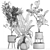 Exotic Plant Collection in Decorative White Baskets 3D model small image 7