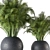 Green Oasis Indoor Plant Set 3D model small image 4