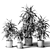 Fragrant Dracaena in Gray Pots 3D model small image 2