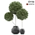 Elegant Topiary Ball in Pot 3D model small image 1