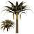 Exotic Date Palm Tree 3D model small image 1