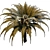 Exotic Date Palm Tree 3D model small image 2