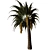 Tropical Date Palm Tree 3D model small image 3