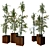 Natural Bamboo Set: 3 Unique Designs 3D model small image 1