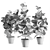 Lush Ficus Vase Plant 3D model small image 2