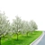 Flowering Dogwood Tree Set 3D model small image 3