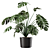 Tropical Monstera Vase Plant 3D model small image 1