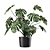 Tropical Monstera Vase Plant 3D model small image 2