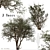 "Ghaf Tree Set: Sustainable Desert Beauty 3D model small image 1