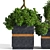 Versatile Outdoor Plant Set 3D model small image 4